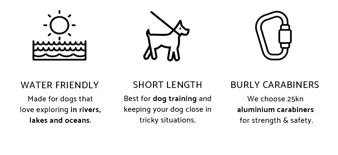 Short Dog Leash For Dog Training