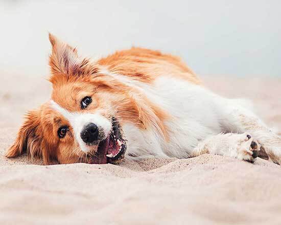 Subscribe for 20% off your first order