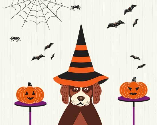 Ghostly good deals online now. Prices as marked.