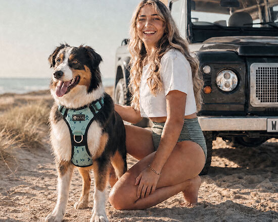 Premium Practical Dog Gear Designed For Every Adventure