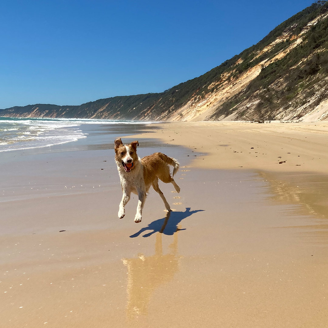 rainbow beach australia sand