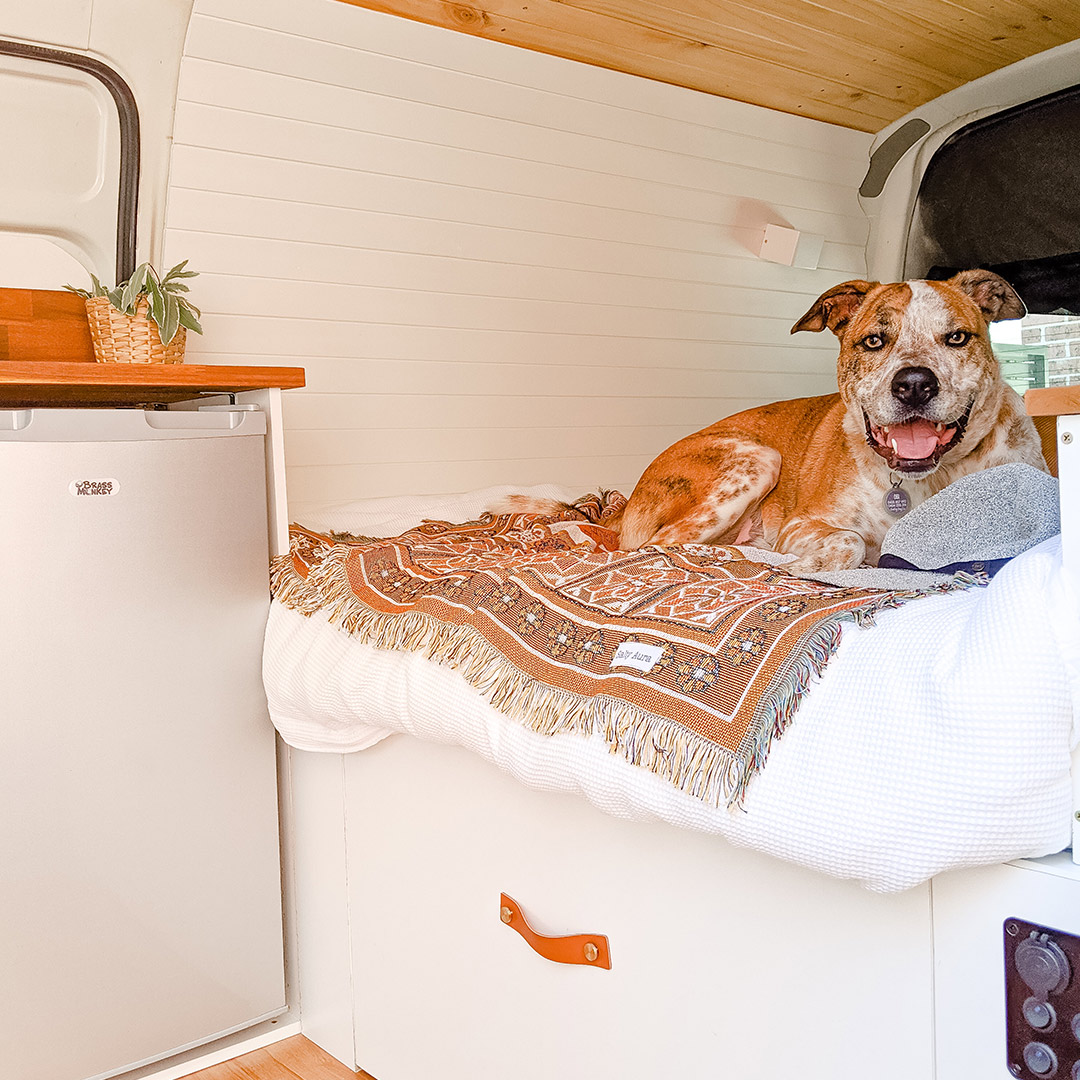 Vanlife with a Dog - Create Your Own Roadshow