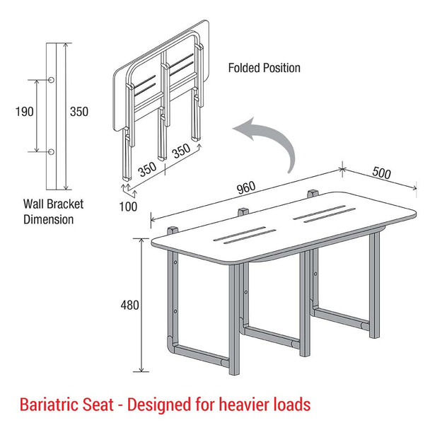 Bariatric Shower Seat