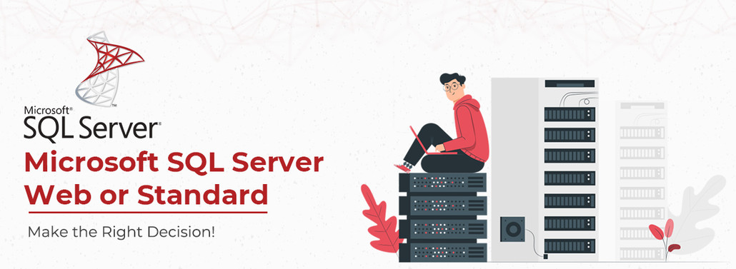 Microsoft SQL Server Web or Standard: Make the Right Decision!