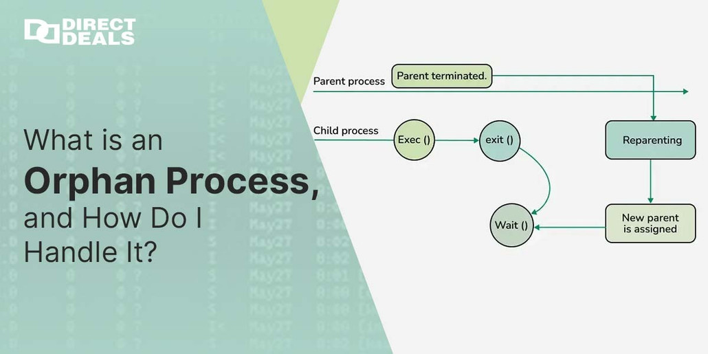 What is an Orphan Process, and How Do I Handle It?