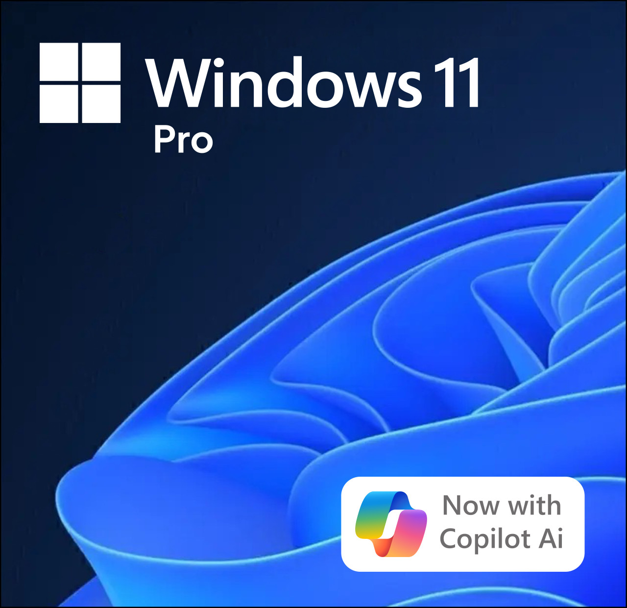 Microsoft Windows 11 Pro - Download