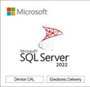 Microsoft SQL Server 2022 - 1 Device CAL - License 
