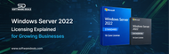 Windows Server 2022 Licensing Explained for Growing Businesses
