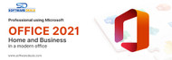 Professional Using Microsoft Office 2021 Home and Business