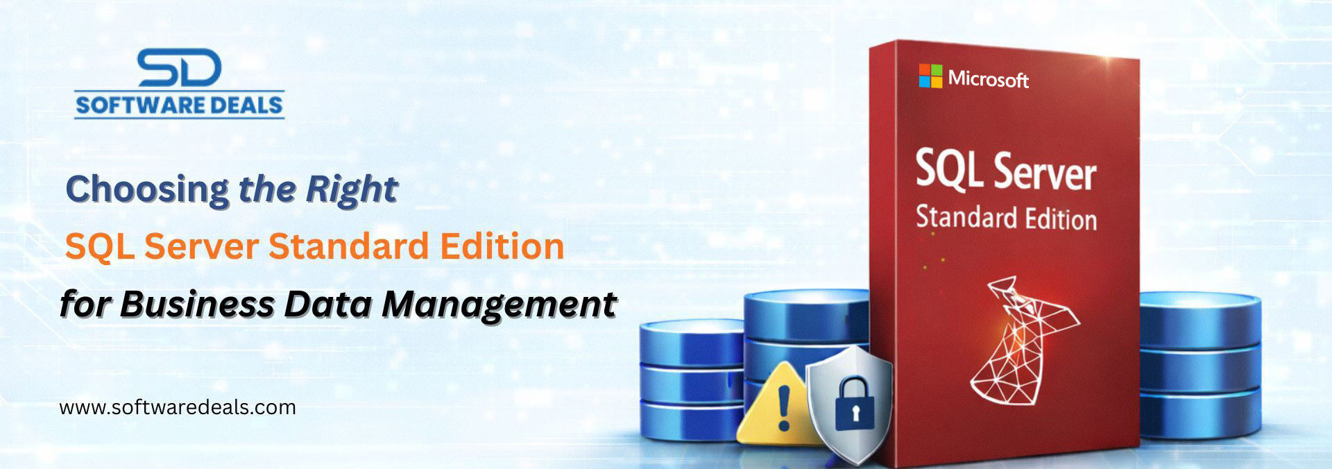 Choosing the Right SQL Server Standard Edition for Business Data ...