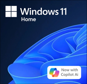 Microsoft Windows 11 Home - Download