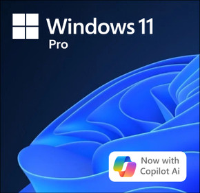 Microsoft Windows 11 Pro - Download