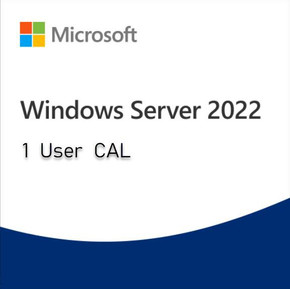 Microsoft Windows Server 2022 - User CAL License 