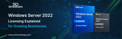 Windows Server 2022 Licensing Explained for Growing Businesses