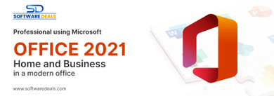 Professional Using Microsoft Office 2021 Home and Business