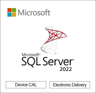 Microsoft SQL Server 2022 - 1 Device CAL - License 