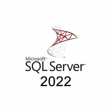 Microsoft SQL Server 2022 - 1 User CAL - License 