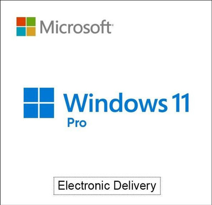 Microsoft Windows 11 Pro - Download
