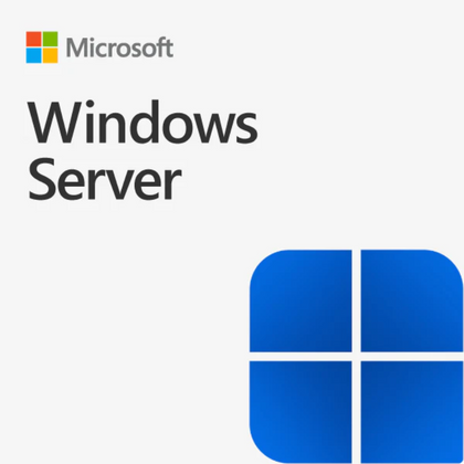 Windows Server 2025 Remote Desktop Services - 1 User CAL - License