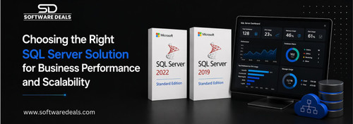 Choosing the Right SQL Server Solution for Business Performance and Scalability