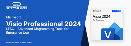Microsoft Visio Professional 2024 LTSC – Advanced Diagramming Tools for Enterprise Use