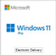 DOWNLOAD WINDOWS 11 PRO visual data 8