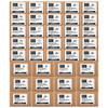 2675 Pcs Grade 8 Coarse Thread Bolt Nut & Washer Assortment Kit with Metal Bin