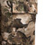Shield™ Fused Cotton Field Pant