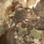Shield Drencher Pant camo