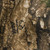 Shield™ Commander Jacket fabric