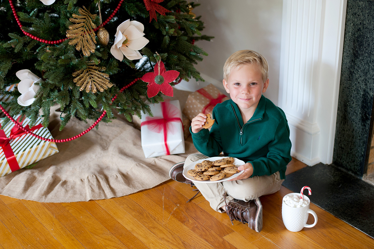 Burlap Ruffle Rustic Christmas Tree Skirt