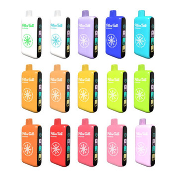 Pillow Talk Ice Control IC40000 20ML 40,000 Puffs Random Flavors