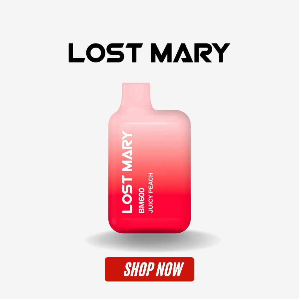 Lost Mary