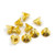 Stainless Steel Gold Coated Hex Socket Flat Head Machine Screw (M2x3mm) 10pcs