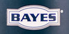 Bayes