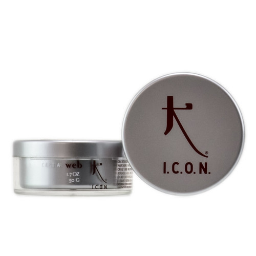 Icon Cast a Web Pomade