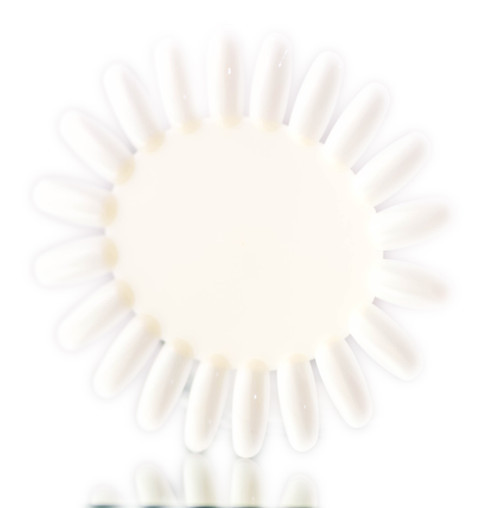 SKS Nail Polish Color Chart Flower