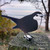 Robin Fence Top Ornament, designed to rust