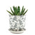 Mini Ceramic Plant Pot & Saucer - Liberte 3 - Grey Forest