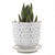 Mini Ceramic Plant Pot & Saucer - Liberte 4 - Blue Feathers