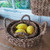 Pair of Round Hogla Seagrass Baskets with Handles