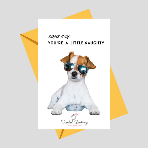 Some Says: You're a Little Naughty | Scented Greeting Cards