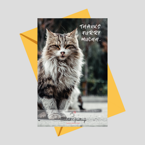 Thanks Furry Muchh.. Cat| Scented Greeting Cards