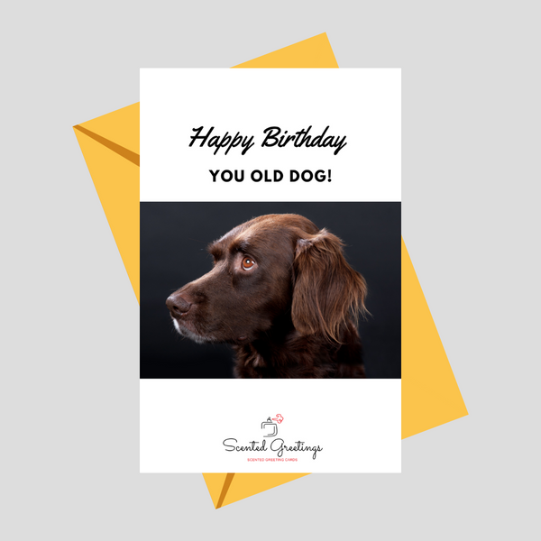 Happy Birthday You Old Dog | Scented Greeting Cards