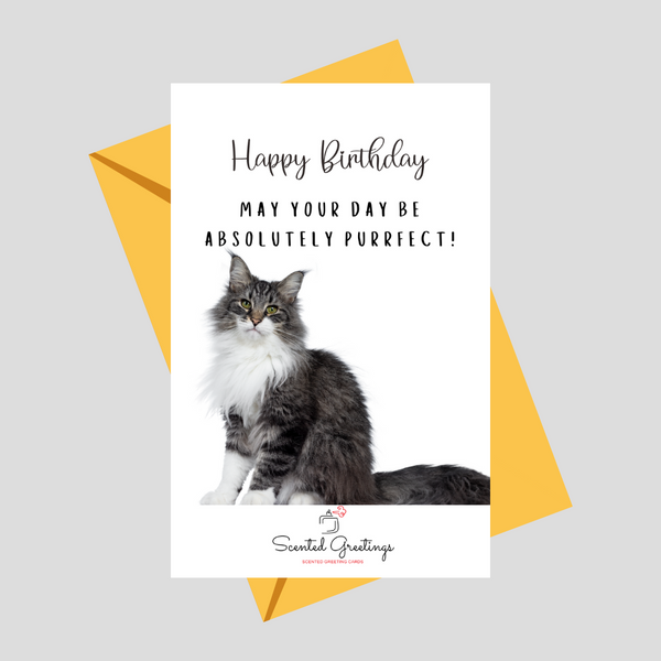 Happy Birthday May your day be Absolutely Purrfect! | Scented Greeting Cards