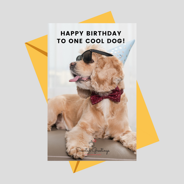 Happy Birthday To One Cool Dog! | Scented Greeting Cards