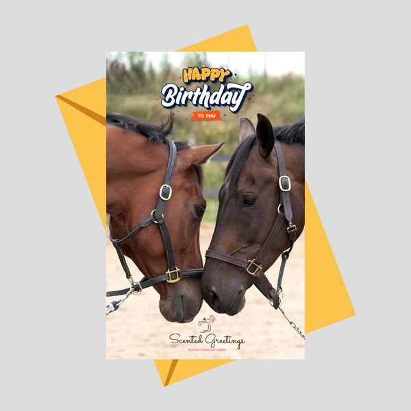 Happy Birthday To You Horse | Scented Greeting Cards