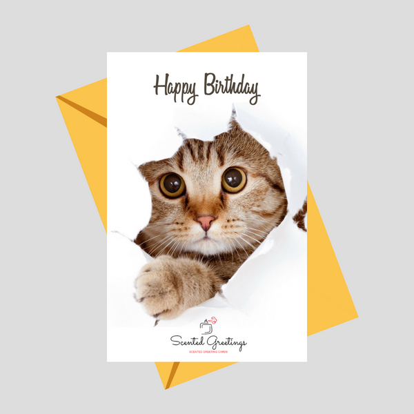 Happy Birthday Cute Cat| Scented Greeting Cards