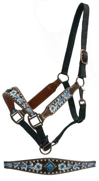 Painted Halters