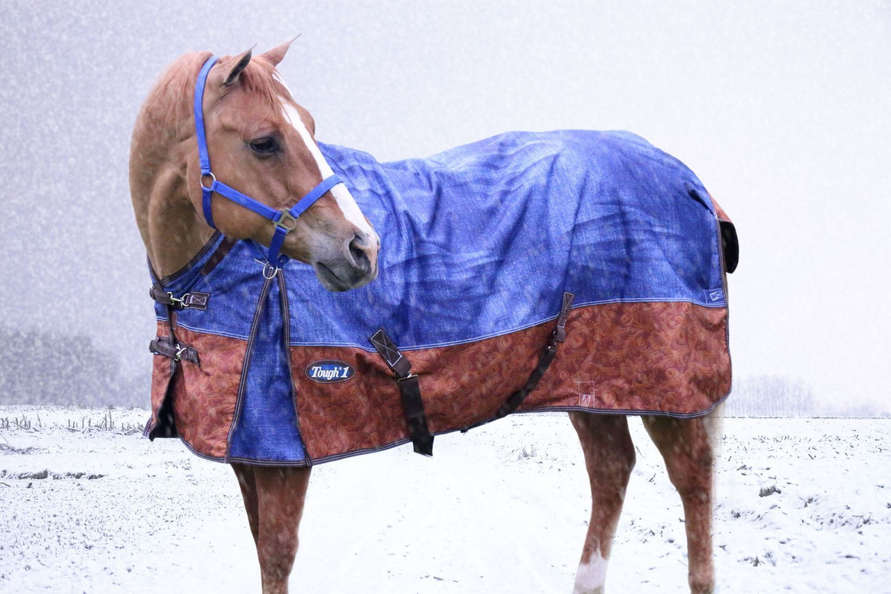 Horse Sheets & Blankets